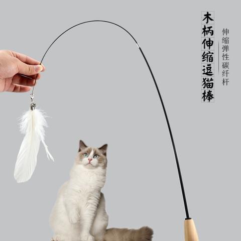 Cat Teaser Feather with Wooden Handle