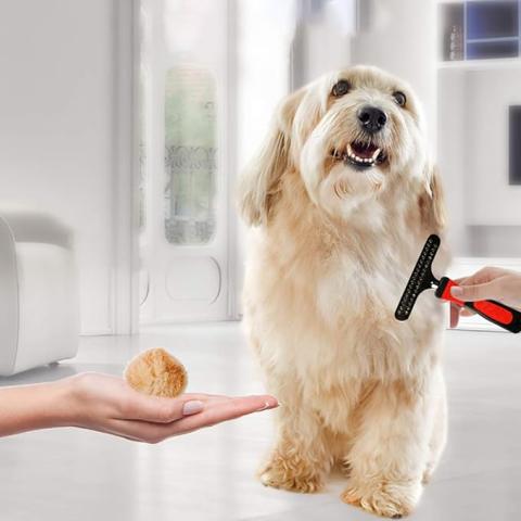 Grooming Brush For pet