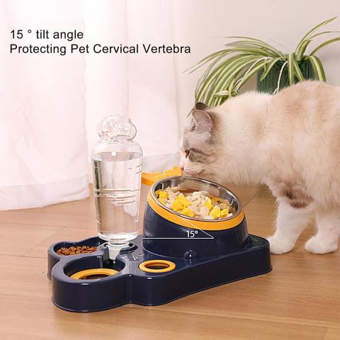 Cat Food and Water Bowl all in one